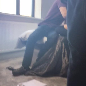 Video by dannydxxx published on March 22,2023 12:10:00 - BestThots