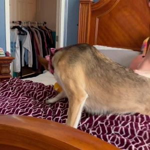 Video by mikailadancer published on October 25,2023 03:28:51 - BestThots