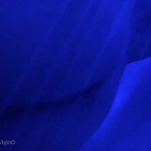 Video by xxchrissdecemberxx published on April 13,2023 00:12:00 - BestThots