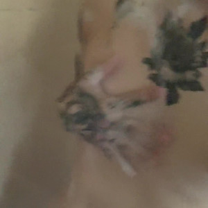 Video by xxchrissdecemberxx published on June 10,2023 02:04:00 - BestThots