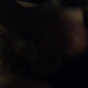 Video by xxchrissdecemberxx published on May 26,2023 14:37:00 - BestThots
