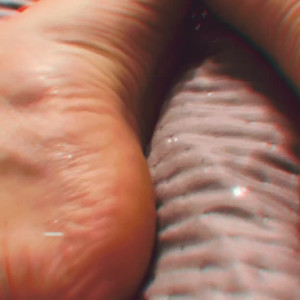 alescoulier #3791559