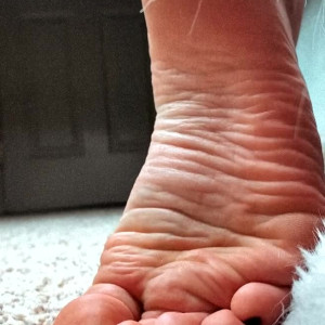 alescoulier #4578198