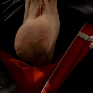 horse_cock #4573521