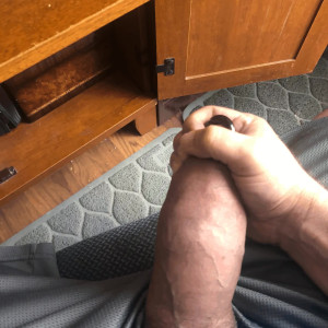 tremorwolf #5470728
