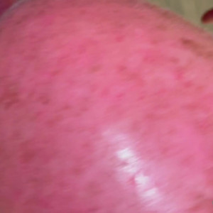 Video by wolfgangfultz published on August 18,2023 18:25:07 - BestThots