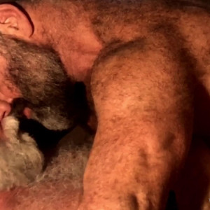 Video by wolfgangfultz published on August 18,2023 18:26:50 - BestThots