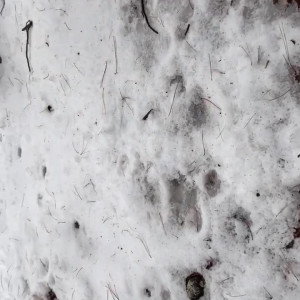 Video by underbust published on July 11,2023 10:54:00 - BestThots