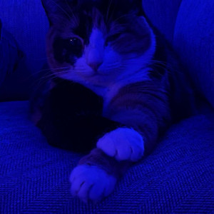Video by scarlett_rae3 published on May 31,2023 18:49:00 - BestThots