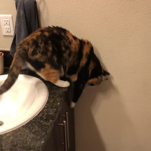 Video by scarlett_rae3 published on April 23,2023 18:11:00 - BestThots