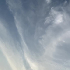 Video by scarlett_rae3 published on July 8,2023 16:28:00 - BestThots