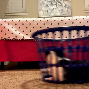 Video by scarlett_rae3 published on April 10,2023 22:30:00 - BestThots