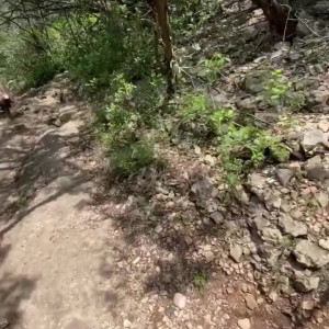 Video by scarlett_rae3 published on July 23,2023 02:58:00 - BestThots