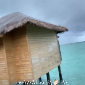 Video by tiffany published on May 20,2023 12:54:00 - BestThots
