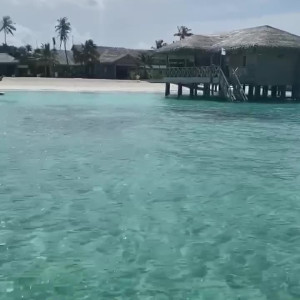 Video by tiffany published on May 14,2023 06:41:00 - BestThots