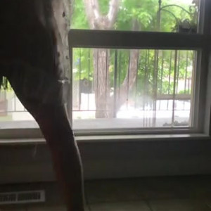 Video by rubixcube published on August 5,2023 17:22:00 - BestThots