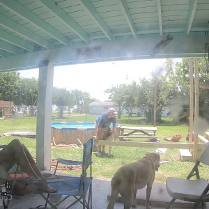 Video by hollyhotwife published on May 13,2023 14:04:00 - BestThots