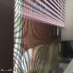 Video by hollyhotwife published on March 11,2023 04:05:00 - BestThots