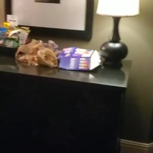 Video by hollyhotwife published on August 9,2023 18:50:00 - BestThots