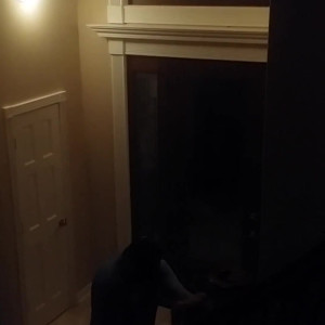Video by hollyhotwife published on May 2,2023 05:38:00 - BestThots