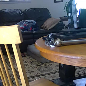 Video by hollyhotwife published on August 13,2023 15:12:00 - BestThots