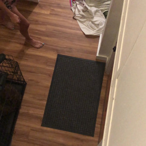 Video by hollyhotwife published on July 3,2023 02:50:00 - BestThots