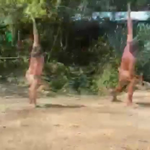 carinamoreschi #4113351