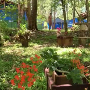 carinamoreschi #4238035