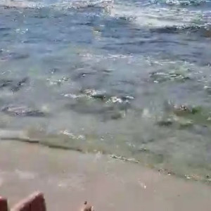 Video by carinamoreschi published on July 24,2023 18:55:00 - BestThots