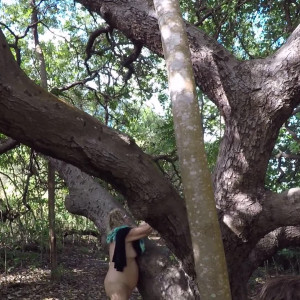 carinamoreschi #4331924