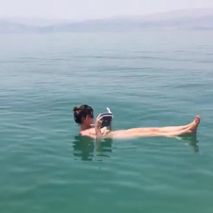 carinamoreschi #4403856