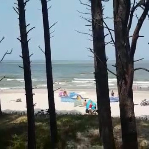 Video by carinamoreschi published on March 25,2023 07:31:00 - BestThots