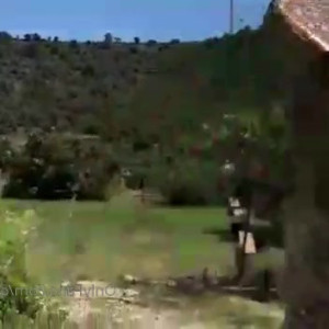 Video by carinamoreschi published on August 1,2023 08:42:00 - BestThots