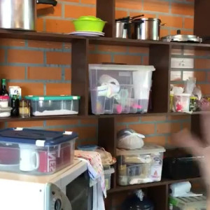 carinamoreschi #4732762