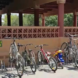 carinamoreschi #4870256