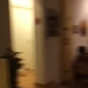 Video by carinamoreschi published on April 19,2023 07:00:00 - BestThots
