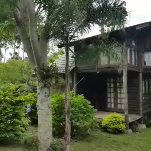 Video by carinamoreschi published on March 2,2023 21:17:00 - BestThots