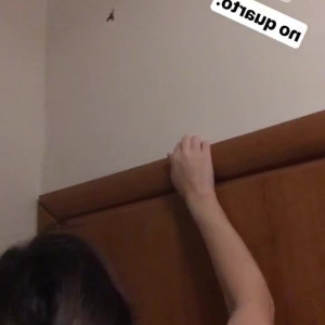 carinamoreschi #5308522