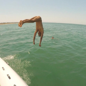 carinamoreschi #5369895