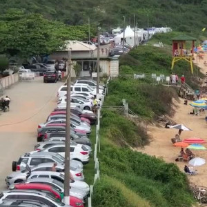 carinamoreschi #5457506