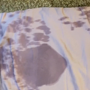 peachesisastonedfruit2 #4013161