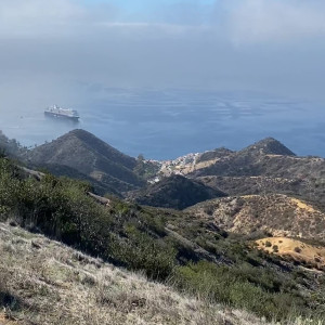 Video by rose_la_reine published on August 8,2023 12:33:00 - BestThots