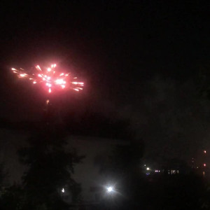 Video by rose_la_reine published on May 13,2023 00:52:00 - BestThots