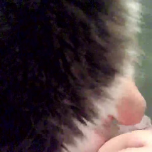Video by rose_la_reine published on July 13,2023 00:15:00 - BestThots