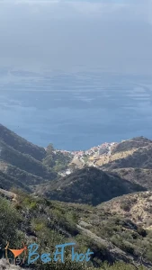 rose_la_reine #9746345