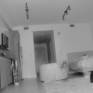 Video by kyliexquinn published on June 14,2023 08:12:00 - BestThots