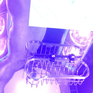 Video by chadwhitexxx published on April 9,2023 23:57:00 - BestThots