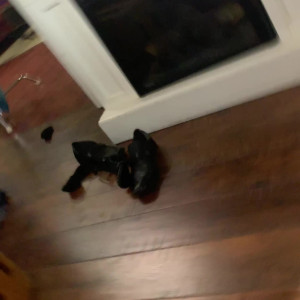Video by chadwhitexxx published on May 19,2023 16:38:00 - BestThots