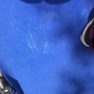 Video by chadwhitexxx published on April 10,2023 15:55:00 - BestThots