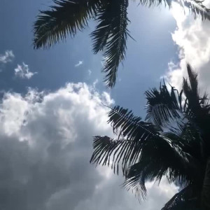 Video by julieannafleming published on July 3,2023 07:59:00 - BestThots